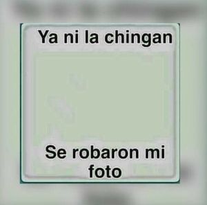 Meet your Posher, Dora